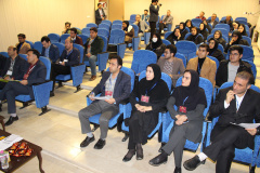 ارائه پایان نامه پژوهشگران در هفتمین دوره مسابقات ملی پایان نامه ۳ دقیقه ای استان اردبیل