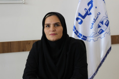 تجلیل از برگزیدگان مرحله استانی سیزدهمین دوره مسابقه مناظرات دانشجویی