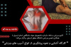 کارگاه آموزشی “آشنایی و پیشگیری از آسیب‌های ورزشی” در دانشگاه محقق اردبیلی برگزار شد